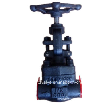 800lb Forged Carbon Steel A105 Thread End NPT Globe Valve